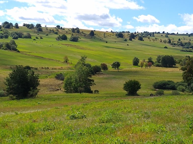 Bayerische Rhön